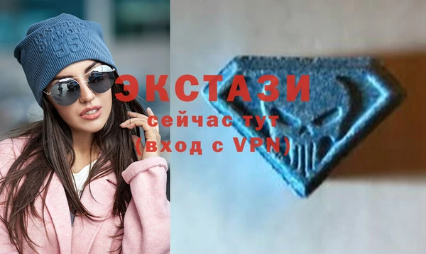индика Иннополис